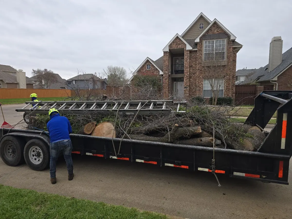 Expert Tree Removal with proper safety equipment in Chesterfield